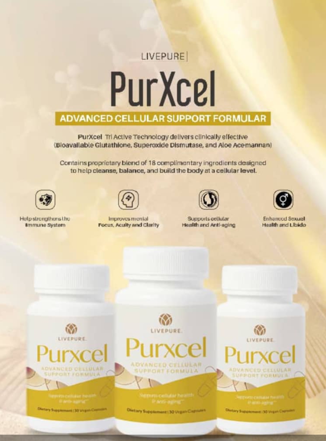 Purxcel