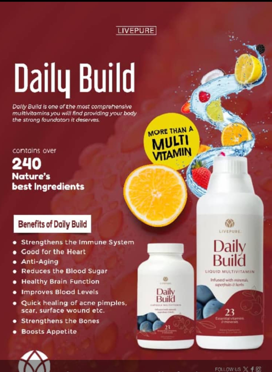 Daily Build dietary supplementment
