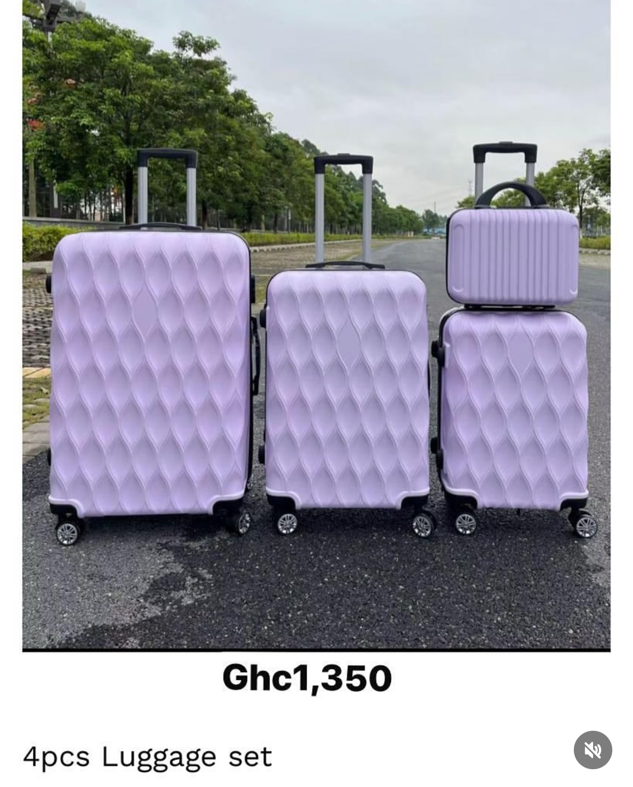 4pcs Luggage Set