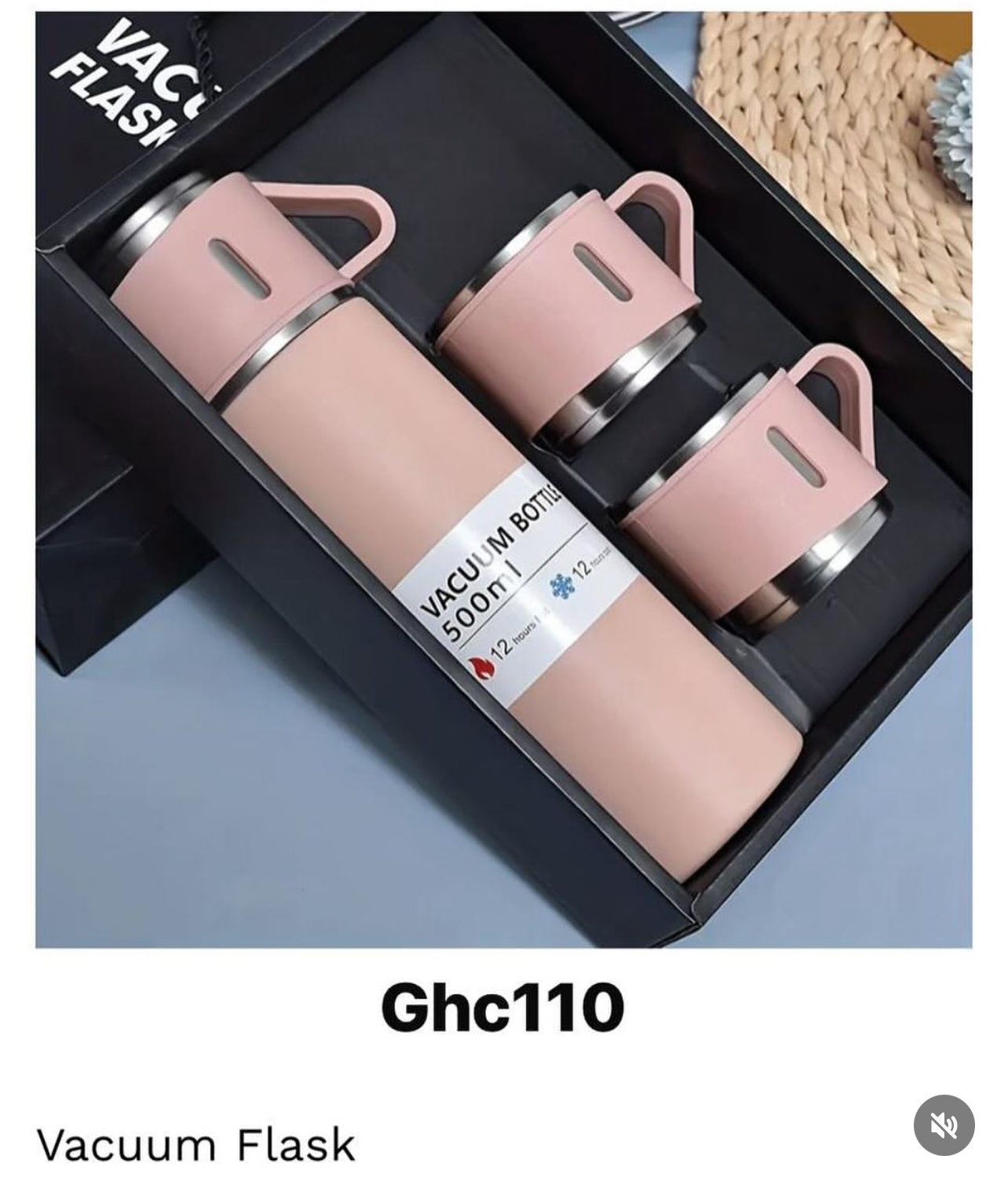 Vacuum Flask