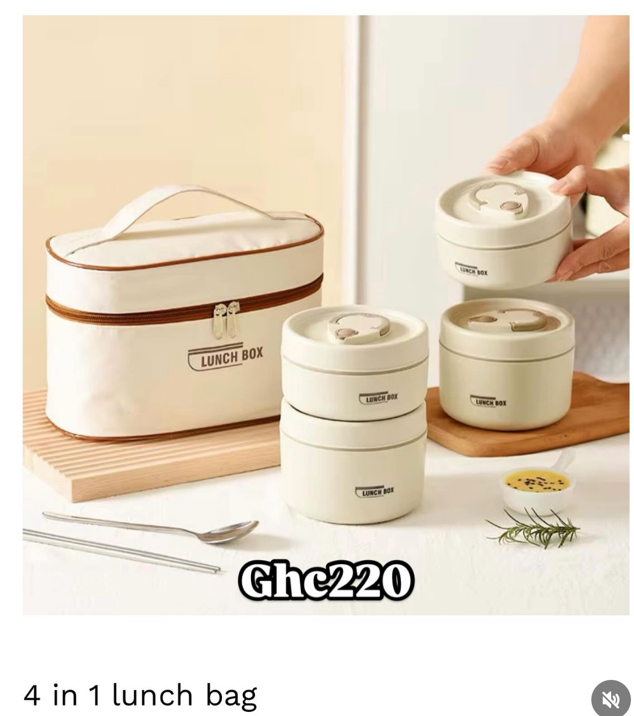 4in1 lunch bag